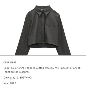 Zara Dark Gray Crop Shirt